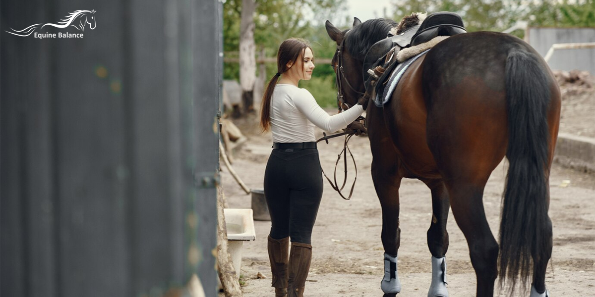 The Key Reasons to Consider Equine Craniosacral Certification Today